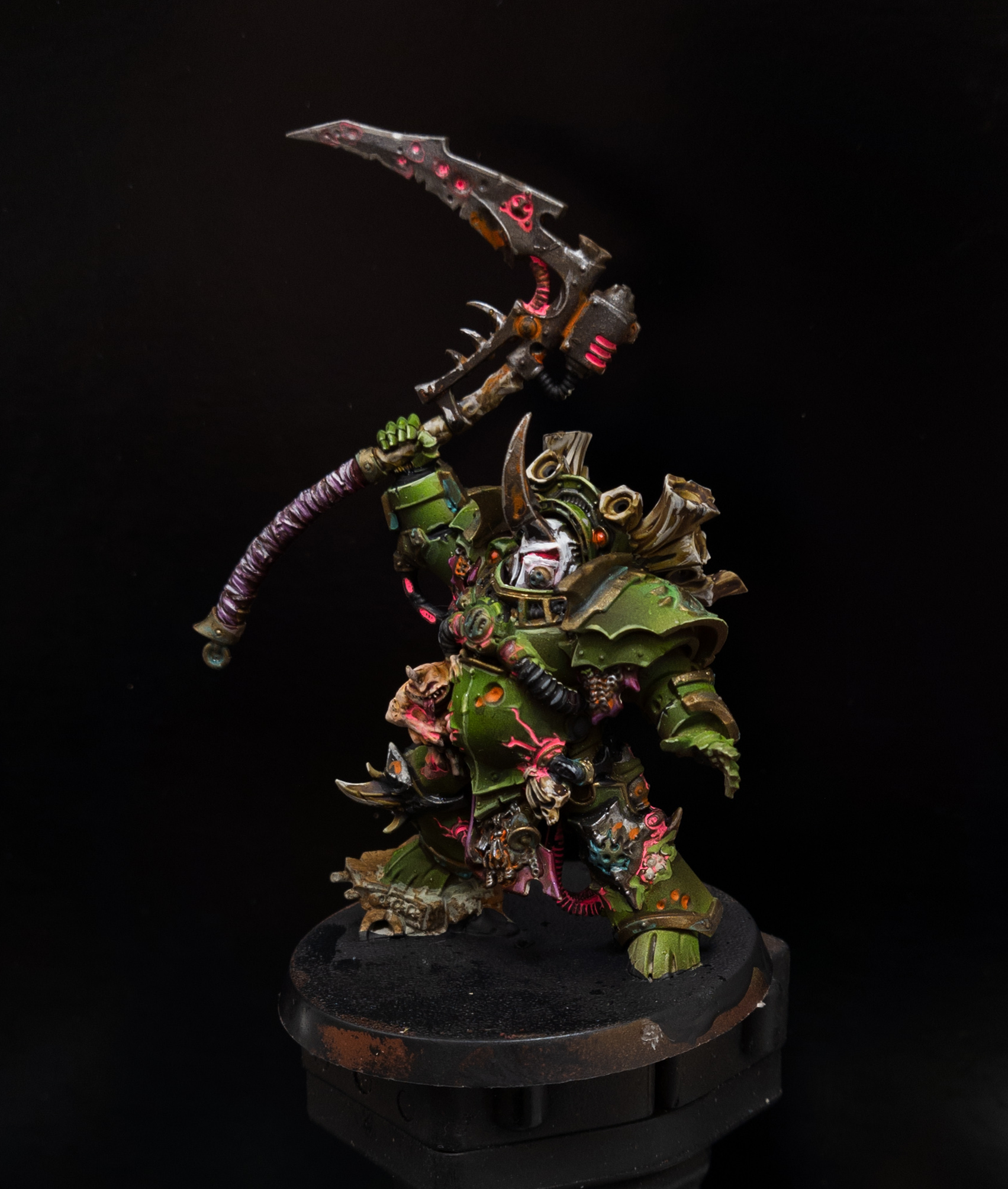 typhus2.png