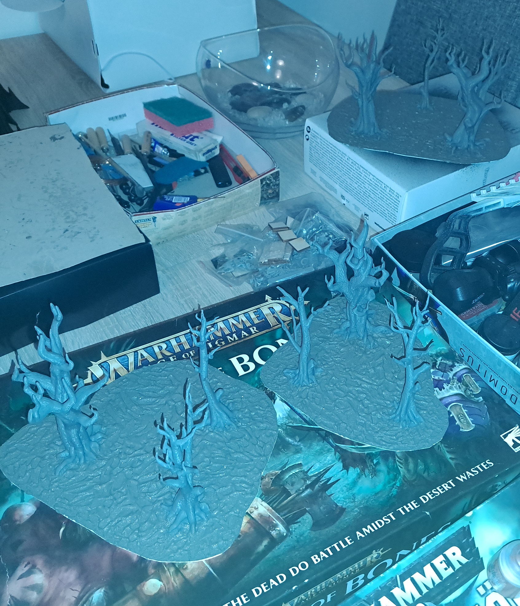 WIP5.jpg