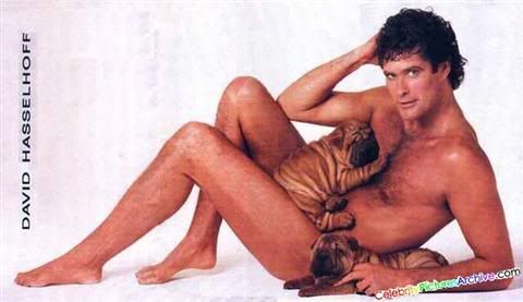 david-hasselhoff.jpg