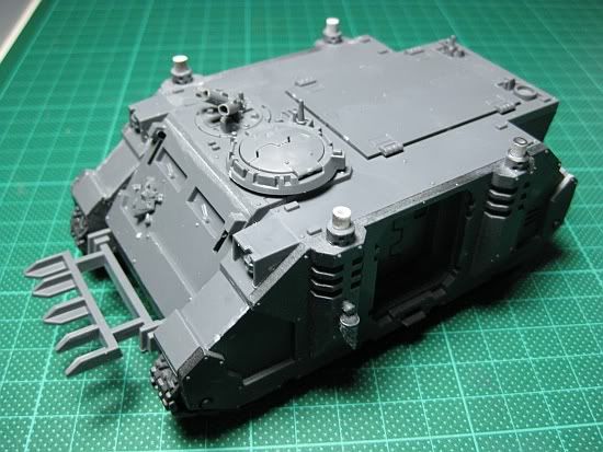 rhino1.jpg