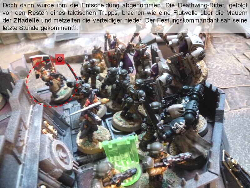 22177232gn.jpg