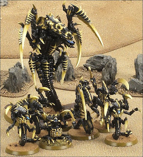 trygon1.jpg