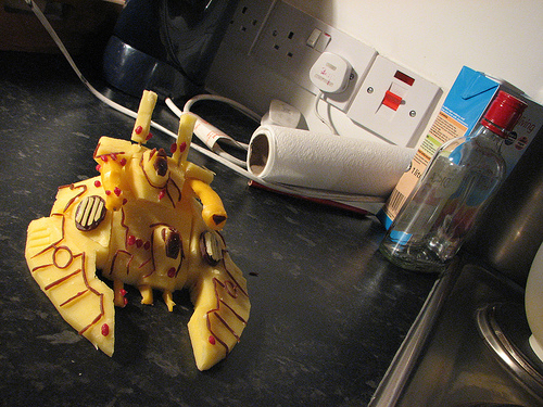 cheese-falcon-11.jpg