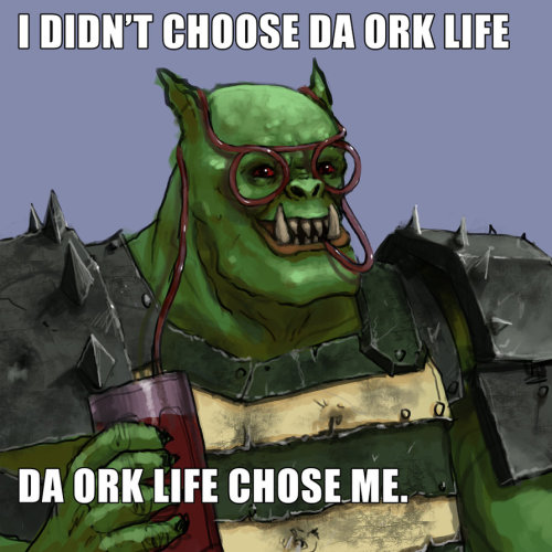 tumblr_mxz9phHeSV1t8iakeo1_500.jpg