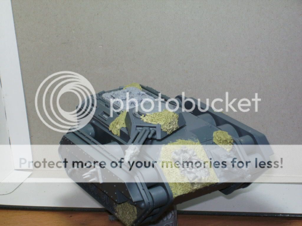 BILD1698.jpg