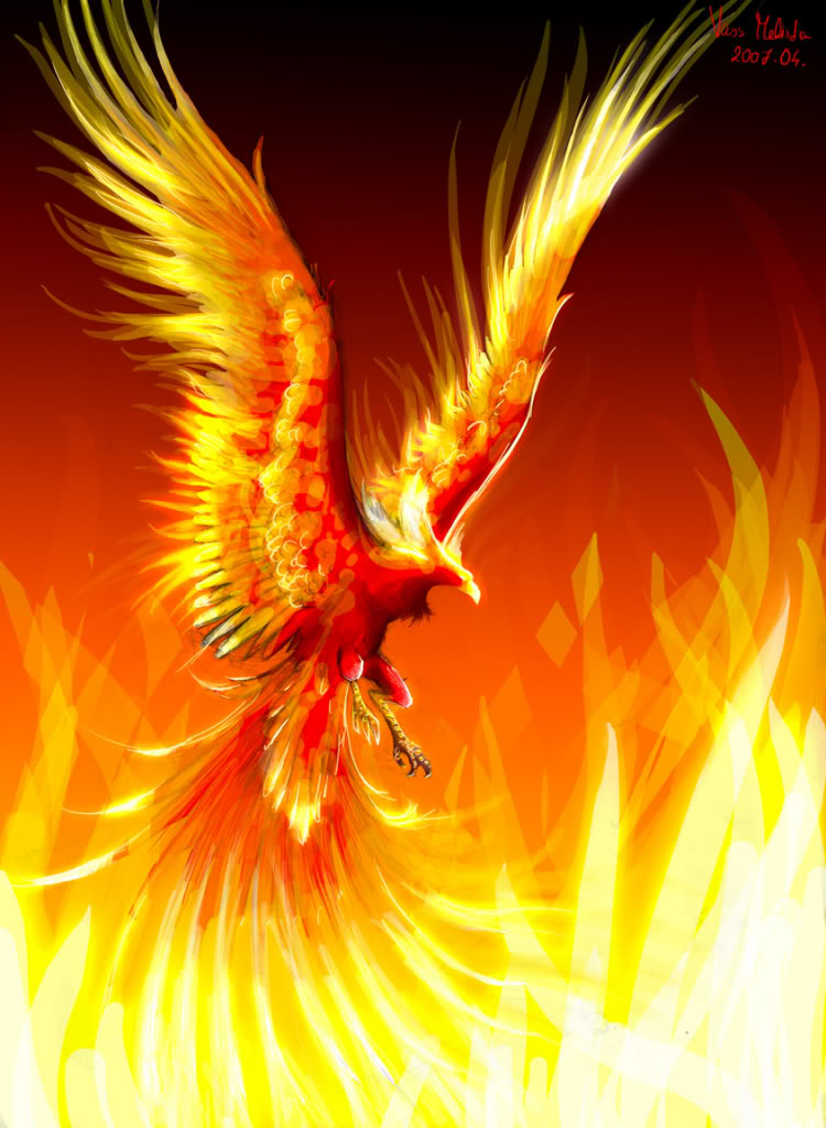 51eF23_Phoenix_by_WhiteRaven90.jpg