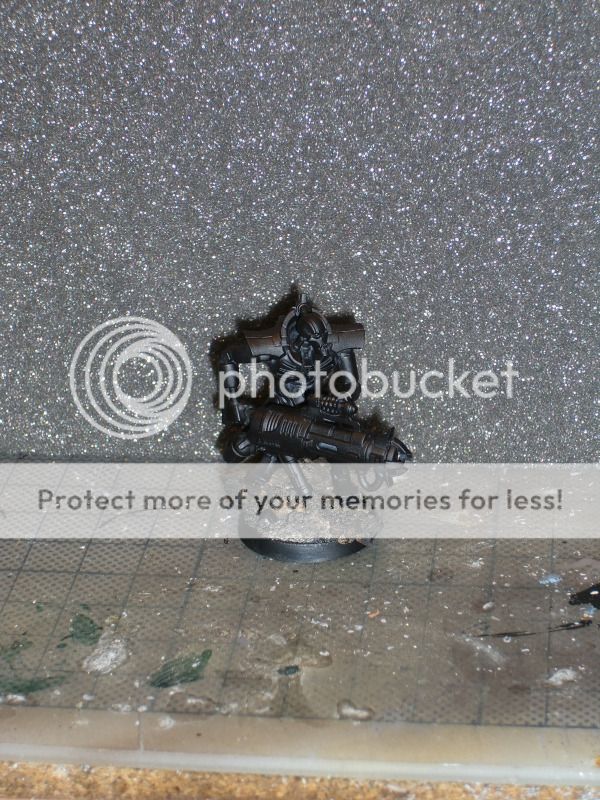 CIMG0626_zps96eb0712.jpg