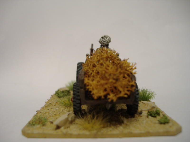 DSCF1063.jpg