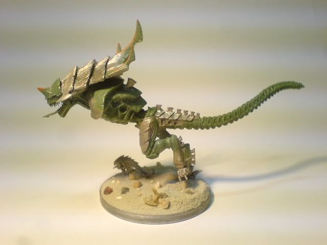 Tail1.jpg