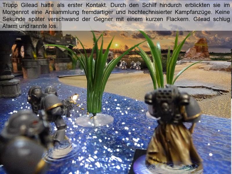 27767718bg.jpg