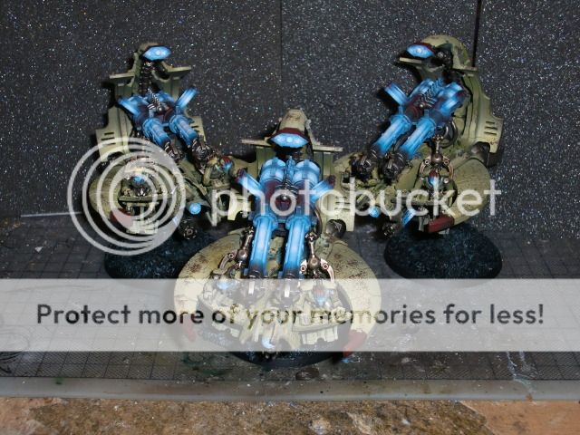 CIMG0680.jpg