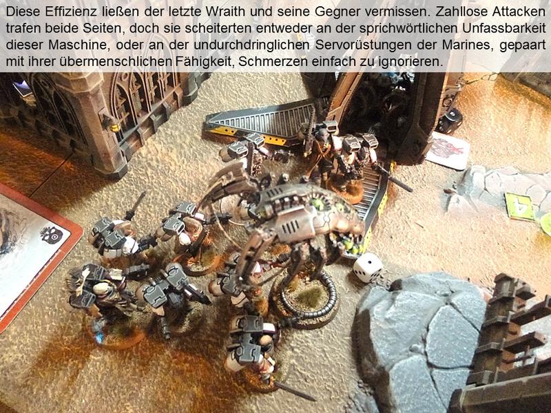 26440033sr.jpg