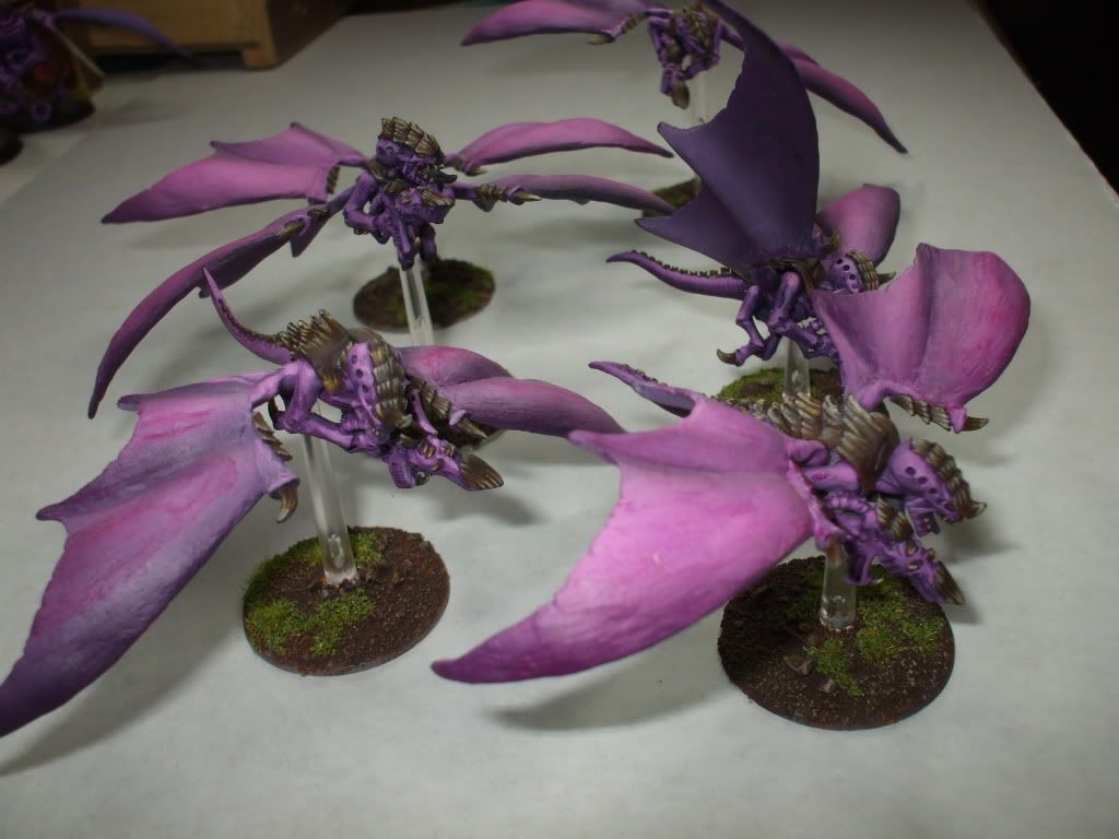 garg1.jpg
