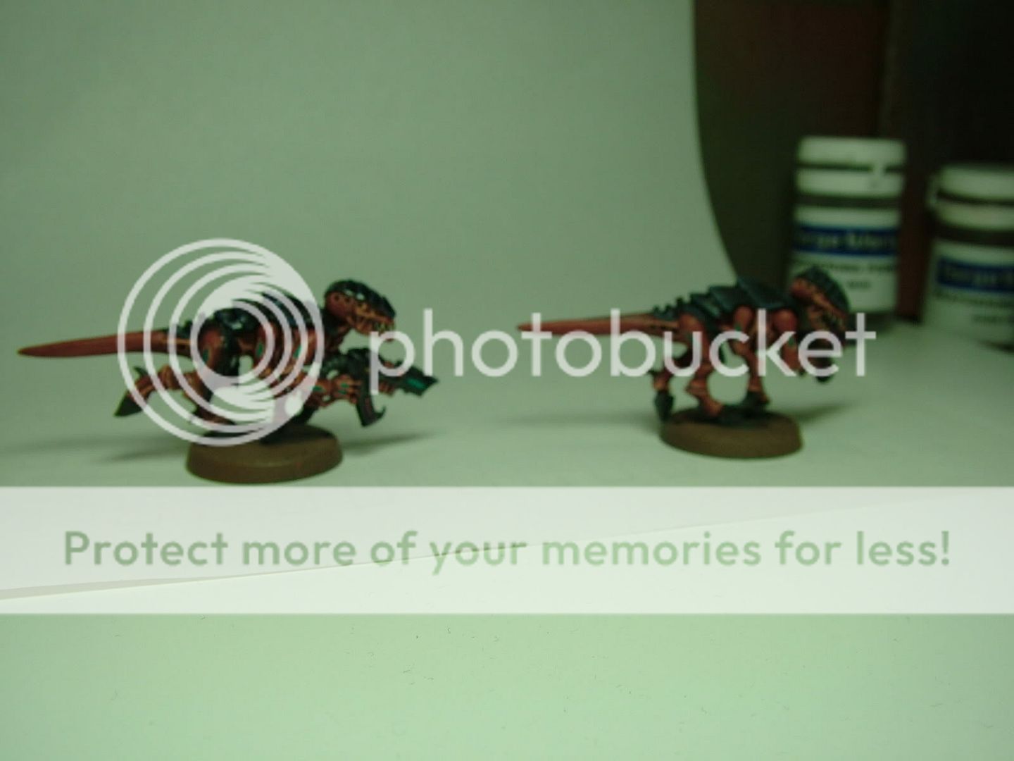 DSCF4588.jpg