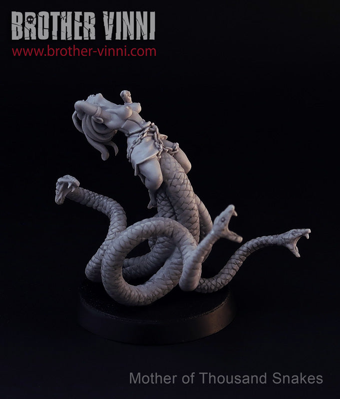 dssorc02-13.jpg