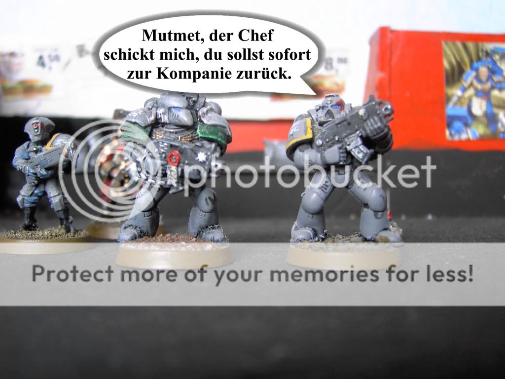 BS217.jpg