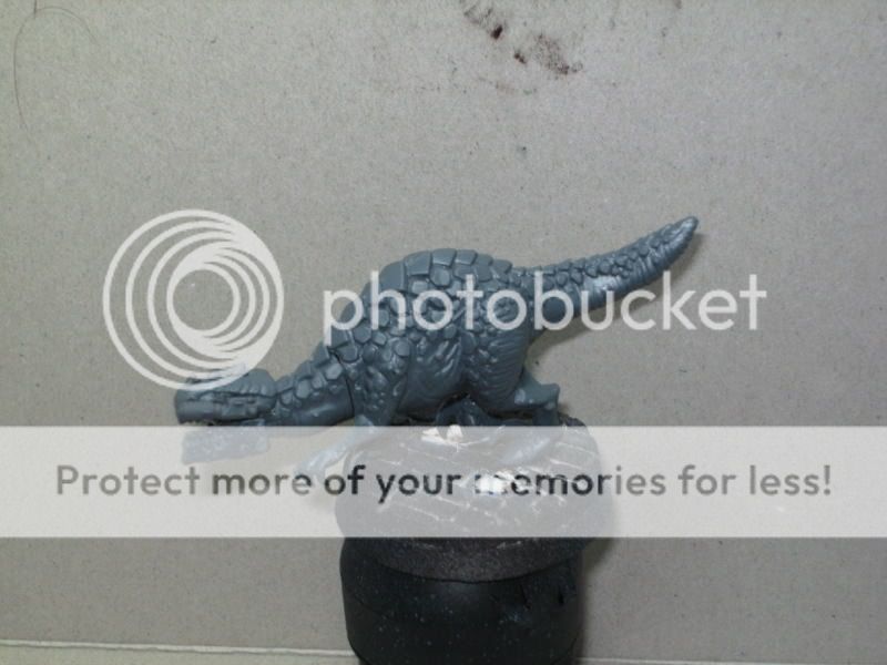 BILD2807.jpg