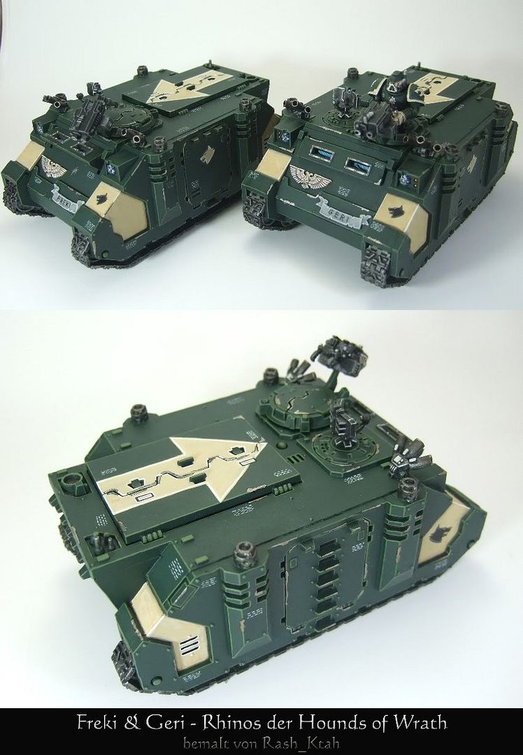 Frekigerirhinosforum.jpg
