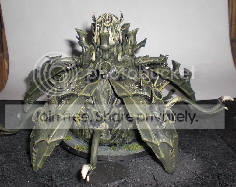 CIMG8826_zpsa8dc76f1.jpg