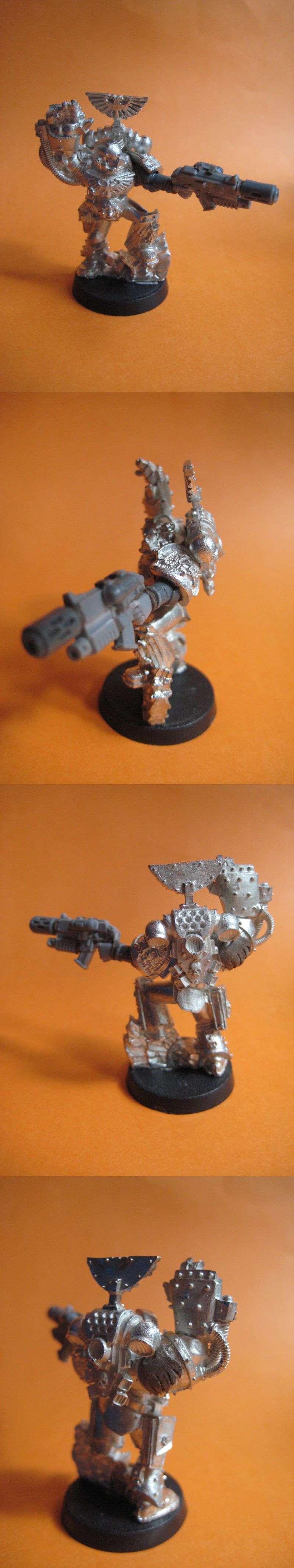 dwveteran3.jpg