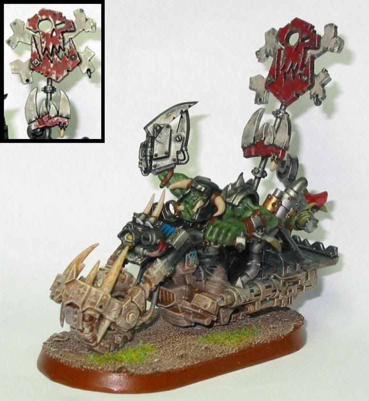1-2495.jpg