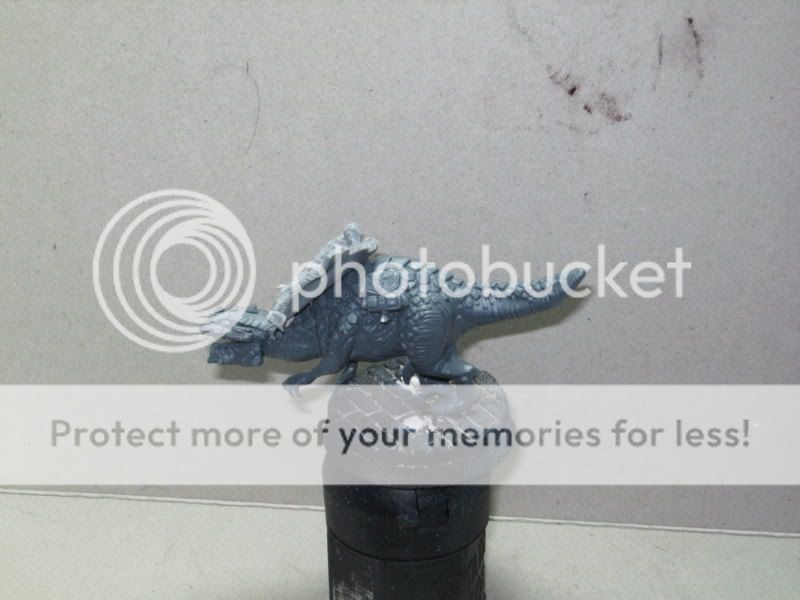 BILD2808.jpg