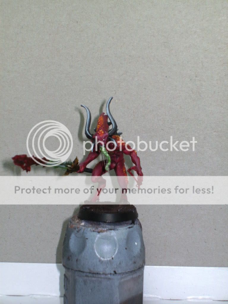 BILD1618.jpg