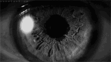 black-and-white-vampire-eye.gif