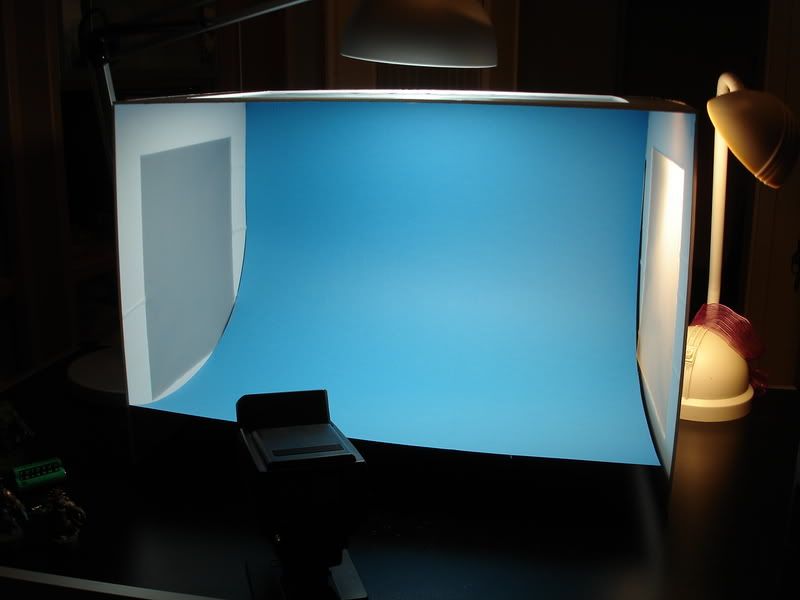 BloodhoundFotozelle007.jpg