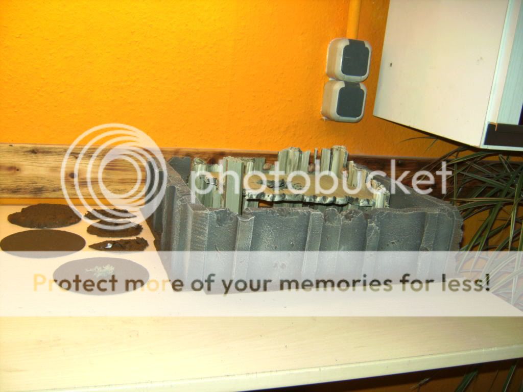 BILD2561.jpg