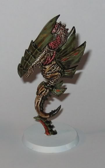 zoantroph.jpg