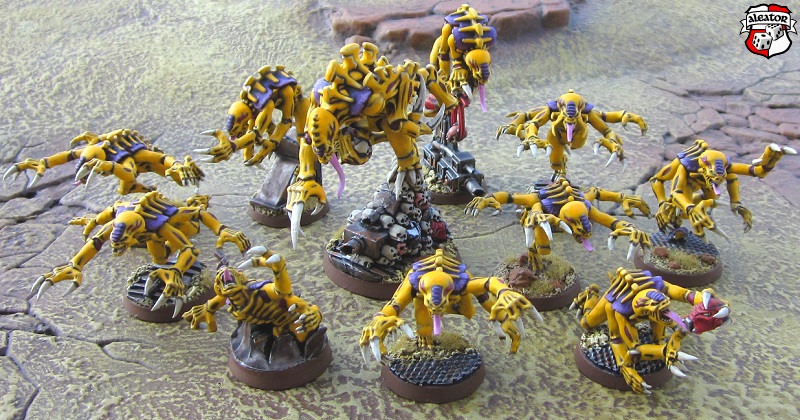 tyr024.jpg