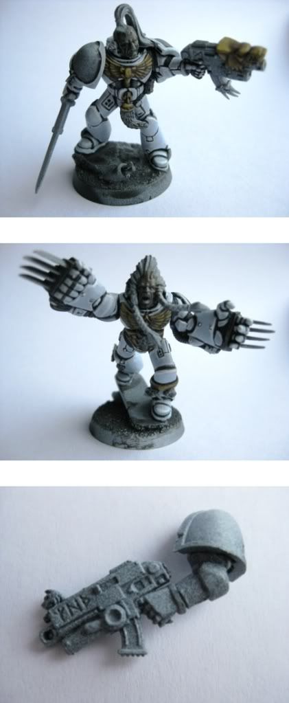 WIPGuards1.jpg