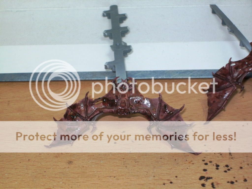 BILD2040.jpg