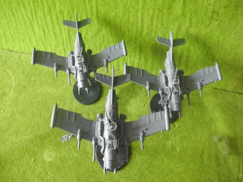 DSCI0399.jpg