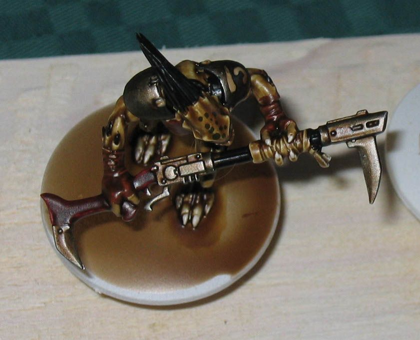 gunmetalkroot.jpg