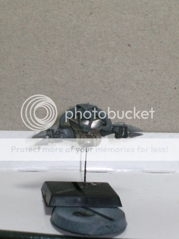 BILD1578.jpg