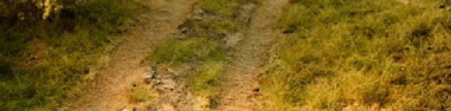 www.exklusiv-miniatur.de