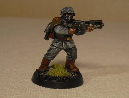 vetpigiron01.jpg