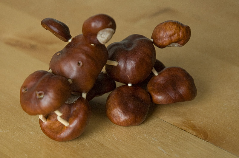 D70_30303.jpg