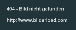 stabEHALT.jpg