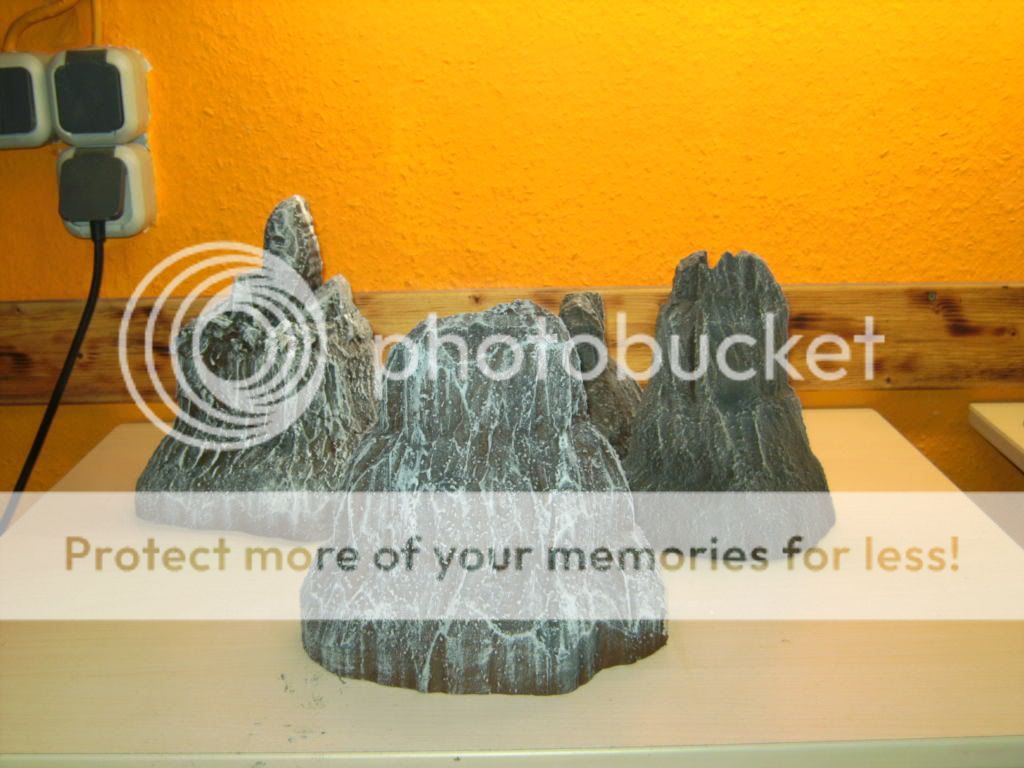 BILD2563.jpg