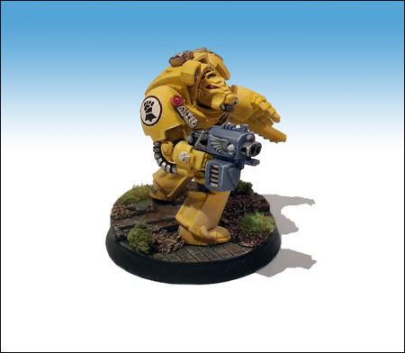 termi_hamster2.jpg