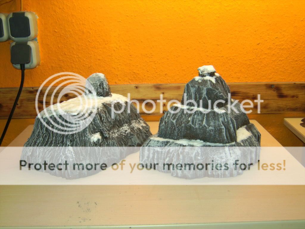 BILD2562.jpg