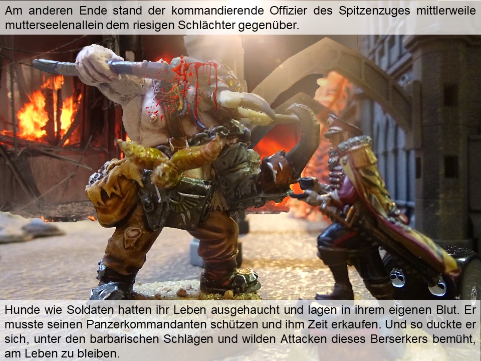 33667864zb.jpg