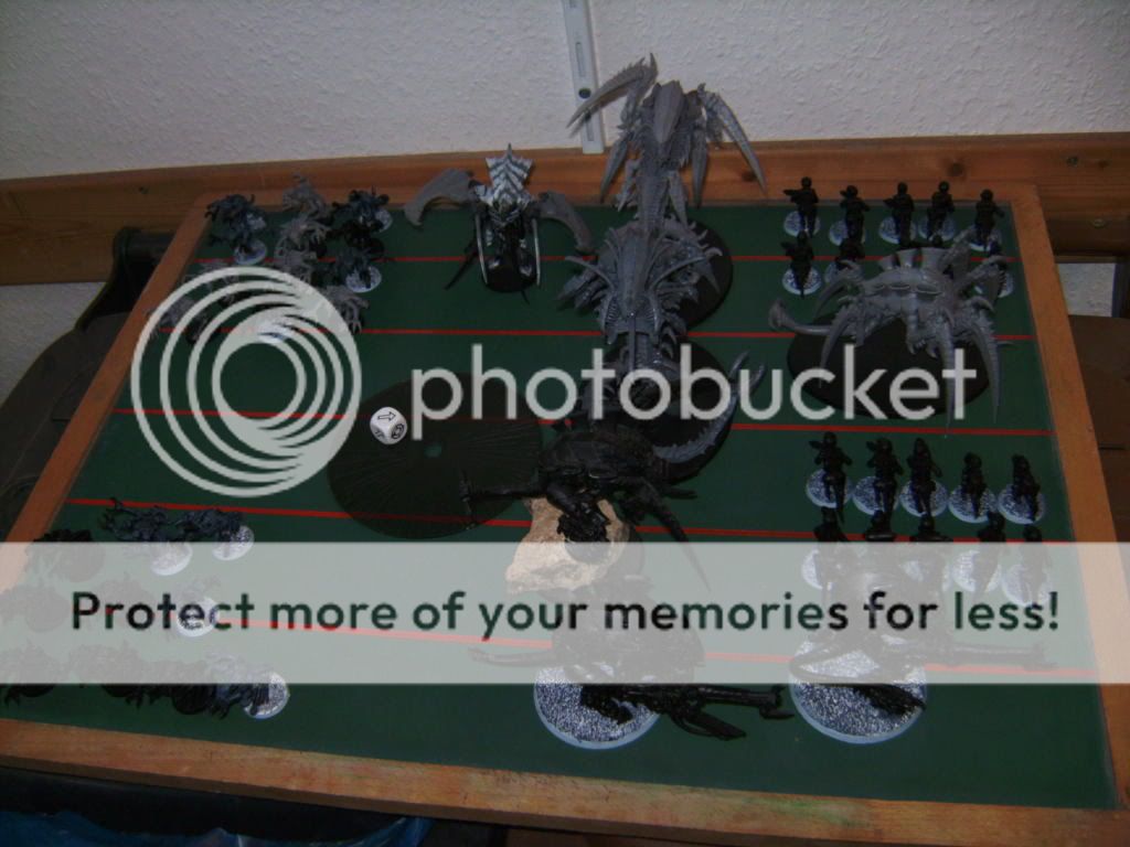 BILD2582.jpg