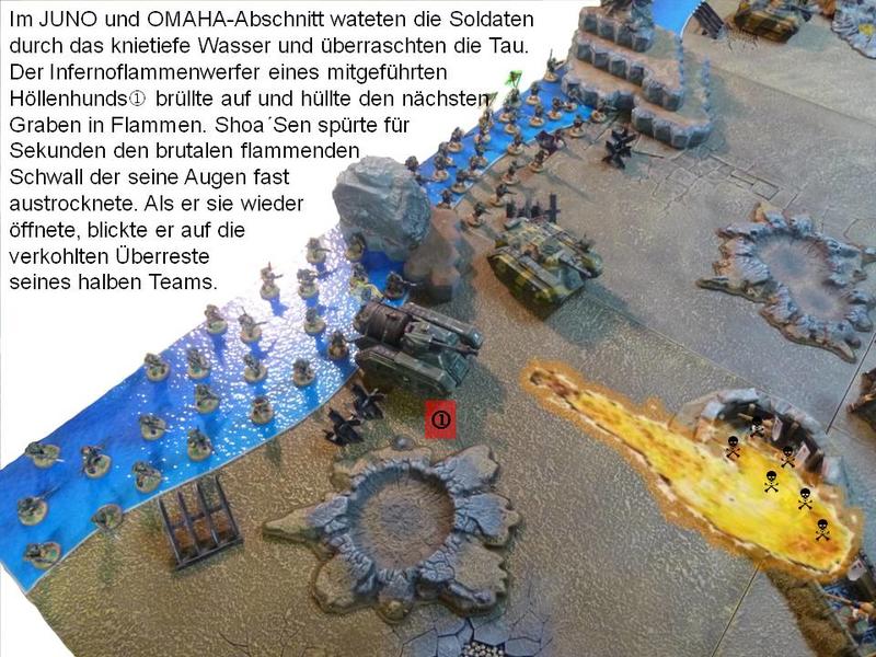 23822797qb.jpg
