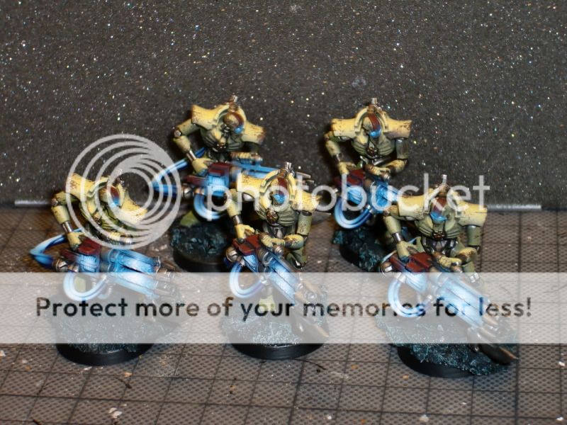 CIMG0612.jpg