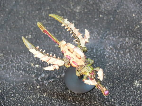 Tcruiser1.jpg