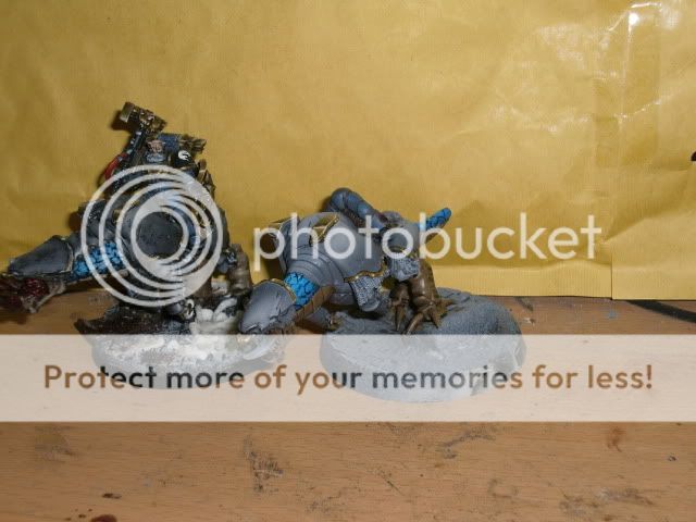 CIMG0400.jpg